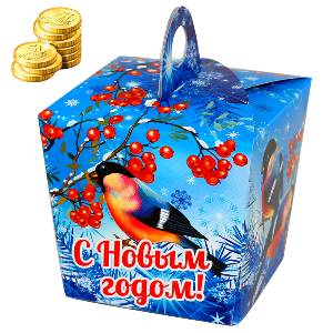 Детский подарок на Новый Год в картонной упаковке весом 300 грамм по цене 172 руб